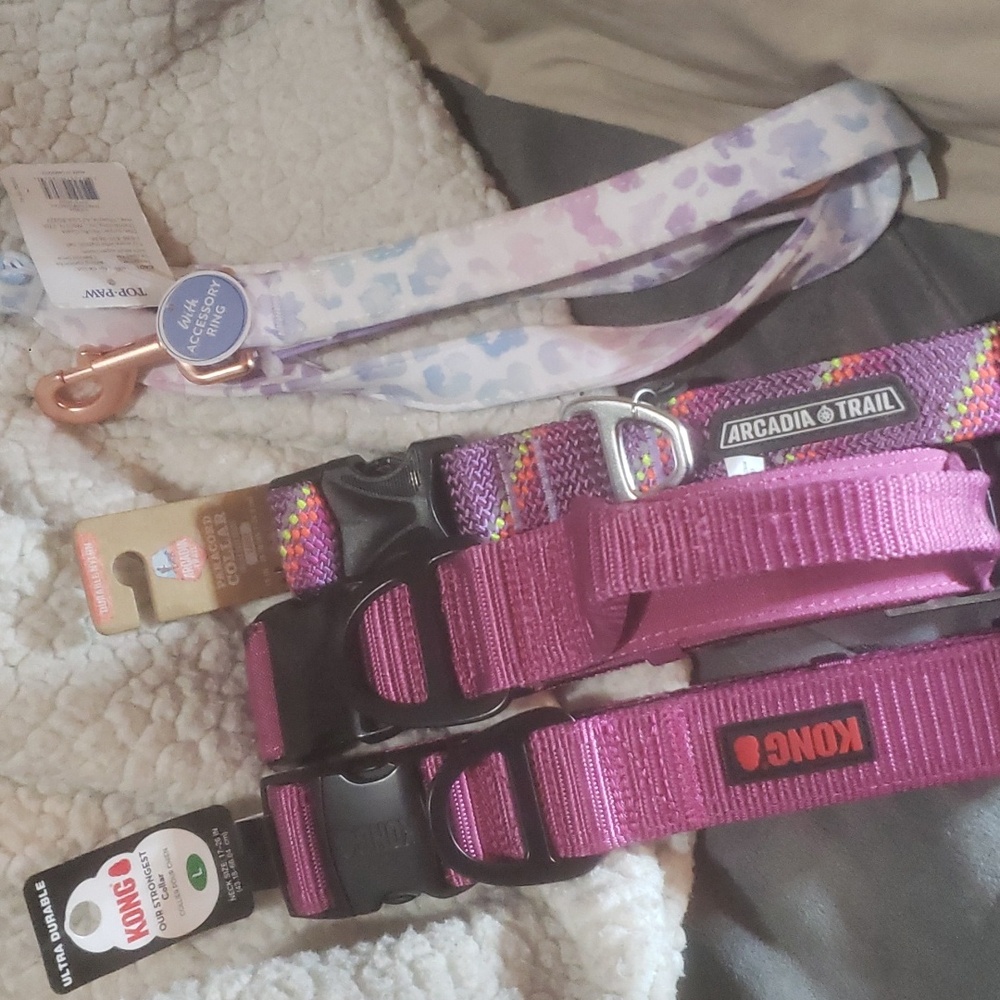 DOG COLLARS AND LEASH BRAND NEW BUNDLE PACK